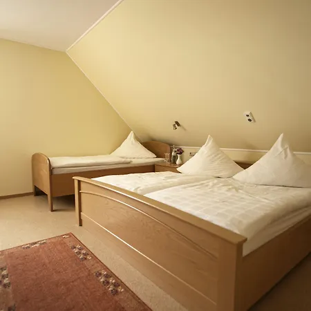 Haus Hubertus Otel 3*