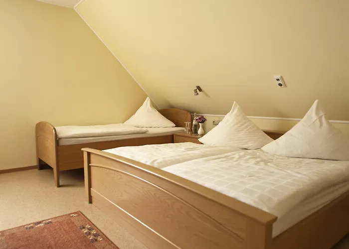 豪斯胡贝图斯酒店 酒店 3*